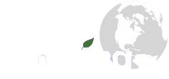 World Solving 採用サイト